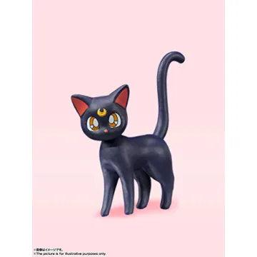 Pretty Guardian Sailor Moon Animation Color Edition Figure