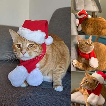 PETLESO Cat Santa Hat and Scarf for Festive Pets