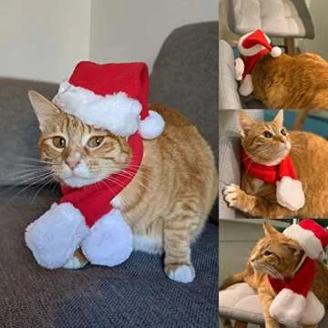 PETLESO Cat Santa Hat and Scarf for Festive Pets