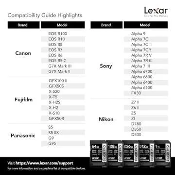 Lexar 128GB Professional SILVER PRO SDXC Memory Card, UHS-II, C10, U3, V60, Full-HD & 4K Video, Up To 280MB/s Read, for Professional Photographer, Videographer, Enthusiast (LSDSIPR128G-BNNNU)