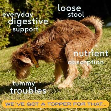 Native Pet Organic Pumpkin for Dogs (16 oz) - All-Natural, Organic Fiber for Dogs - Mix with Water for a Delicious Pumpkin Purée - A Canned Alternative to Prevent Waste - Puppy Essentials