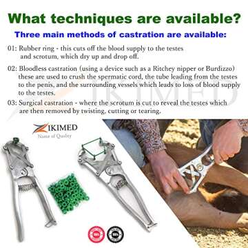 Cattle Bloodless Castration Large Aluminum Pliers with 100 Elastic Bands set (animal only)