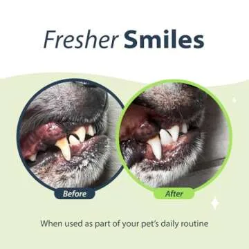 Dental Fresh Water Additive for Cats - Breath Freshener