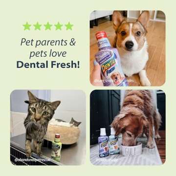 Dental Fresh Water Additive for Cats - Breath Freshener