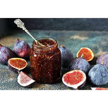 Sanniti Mediterranean Fig Spread, 10 oz