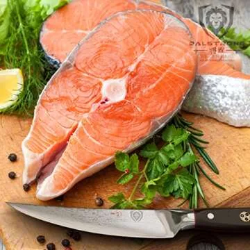 Dalstrong 6 Inch Fillet Knife - Shogun Series ELITE