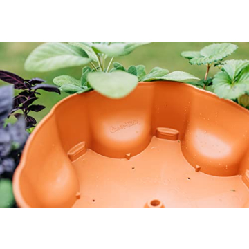 Greenstalk 5 Tier Vertical Garden Planter with Watering System