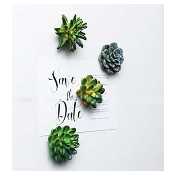 CoCoMe Funny 3D Resin Succulent Fridge Refrigerator Magnets, Set of 4
