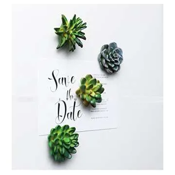 CoCoMe Funny 3D Resin Succulent Fridge Refrigerator Magnets, Set of 4