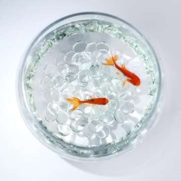 CYS EXCEL Clear Glass Gemstone Beads Vase Fillers (1 LB) Flat Marble Beads Multiple Color Choices Aquarium Decor Rocks Floral Stones Decorative Mosaic Gem Pebbles (Approx. 85-100 PCS)