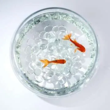 CYS EXCEL Clear Glass Gemstone Beads Vase Fillers (1 LB) Flat Marble Beads Multiple Color Choices Aquarium Decor Rocks Floral Stones Decorative Mosaic Gem Pebbles (Approx. 85-100 PCS)