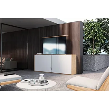 ynVISION Motorized TV Lift for 37-77 Inch TVs