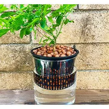 Hydro Crunch D94001114-24PC 6" (Diameter) Mesh Pot Set (24-Pack), 6-inch, Black