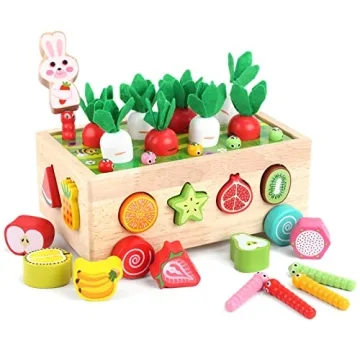 Montessori Wooden Educational Toys for Toddlers - Shape Sorting Fun!