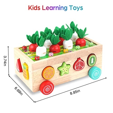 Montessori Wooden Toys for Toddlers Age 1-3 - Shape Sorting