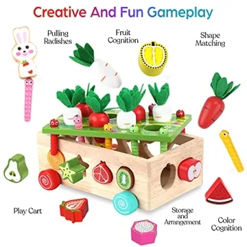 Montessori Wooden Toys for Toddlers Age 1-3 - Shape Sorting