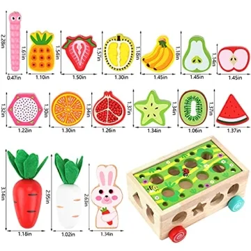 Montessori Wooden Toys for Toddlers Age 1-3 - Shape Sorting