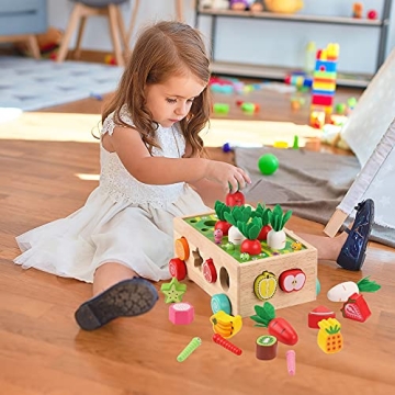 Montessori Wooden Toys for Toddlers Age 1-3 - Shape Sorting