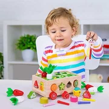 Montessori Wooden Toys for Toddlers Age 1-3 - Shape Sorting