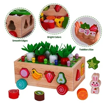 Montessori Wooden Toys for Toddlers Age 1-3 - Shape Sorting