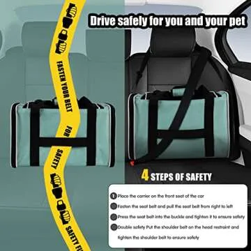 Cat Carrying Case Pet Dog Carrier Soft-Sided Cat Bag Airline Approved, Pet Travel Carrier Up to 15 Lbs, Collapsible Cat Carrier Dog Carrier for Medium Cats Small Cats Dogs(17x11x11 Green)