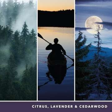 Yankee Candle Scented Candle | Midsummer's Night Large Jar Candle | Long Burning Candles: up to 150 ...