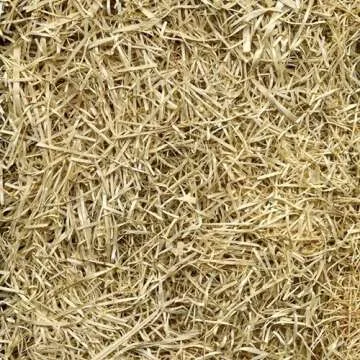 EZ-Straw Seeding Mulch with Tackifier - Biodegradable