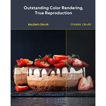 RALENO LED Video Light, White Camera Light for Pictures Video Recording with 4000mAh Battery Support Type-C USB Power Supply, CRI>95 3200K-5600K Photo Lights for Outdoor Photography Live Streaming