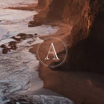 Charcoal Rose Bubble Bath - Moisturizing & Hydrating 25 oz