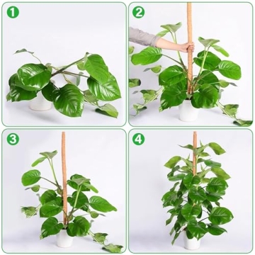 Glory Island 48 Inch Eco-Friendly Moss Pole for Climbing Plants