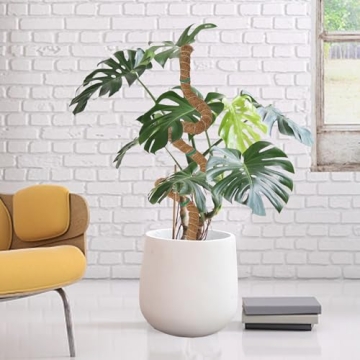 Glory Island 48 Inch Eco-Friendly Moss Pole for Climbing Plants