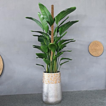 Glory Island 48 Inch Eco-Friendly Moss Pole for Climbing Plants