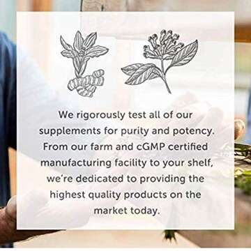 Global Healing Vitamin B12 5000 mcg, Organic Sublingual Liquid Drops | 3-in-1 Methylcobalamin, Adenosylcobalamin, Hydroxo Blend, 1 Fl Oz (2-Pack)