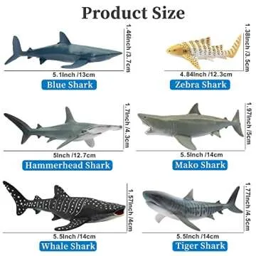 Toymany 6PC Realistic Shark Figurines Set - 5-6" Ocean Animals Bath Toys, Cake Toppers, Gifts for Kids & Toddlers