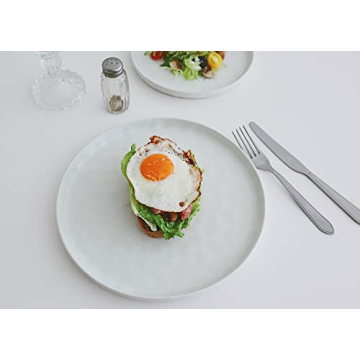 Famiware 12-Piece Mars Dinnerware Set for All Occasions