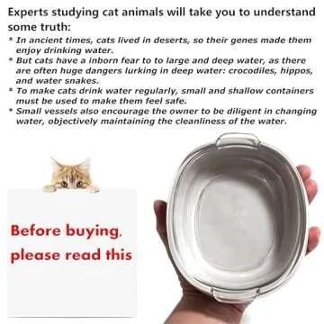 Small Glass Cat Food Bowls - Shallow Water Bowl for Cats and Dogs, Durable and Easy to Clean