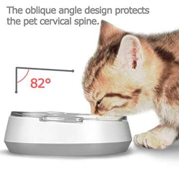 Small Glass Cat Food Bowls for Cats and Small Dogs