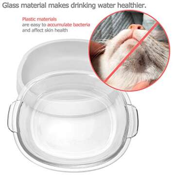 Small Glass Cat Food Bowls for Cats and Small Dogs