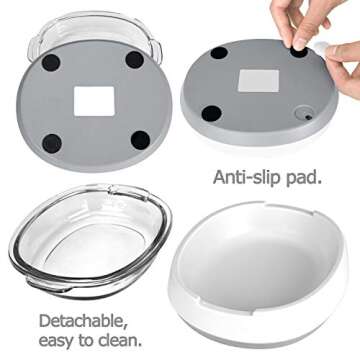 Small Glass Cat Food Bowls for Cats and Small Dogs