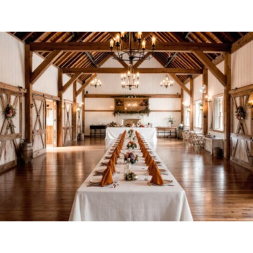 Elegant Burnt Orange French Linen Napkins Set of 4