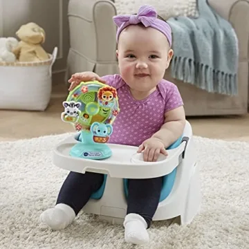 VTech Turn and Learn Ferris Wheel Educational Toy