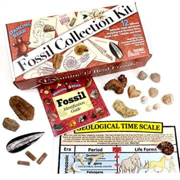 DANCING BEAR Fossil Collection Kit (12 pc Set) Fossil ID Book, STEM Science Set, Made in The USA