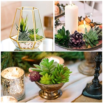 Anoak 16 Pcs Artificial Succulent Plants Set for Decor