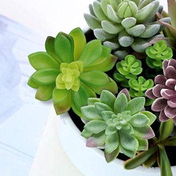 Anoak 16 Pcs Artificial Succulent Plants Set for Decor