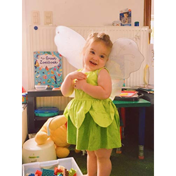 Enchanting Tinker Bell Dress for Kids 2-3 Years