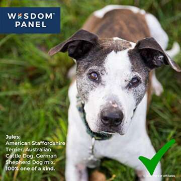 Mars Veterinary Wisdom Panel Dog DNA Test Kit - Canine Breed Identification and Ancestry Information