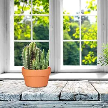 6-Pack Large 6'' Terracotta Pots Clay Flower Pots Shallow Planters for Succulent Cactus Plant Pots with Drainage Hole for Plants Garden Windowsill Indoor & Outdoor Wedding Favors Gifts