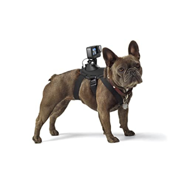 GoPro Fetch Dog Harness Adventure Camera Mount