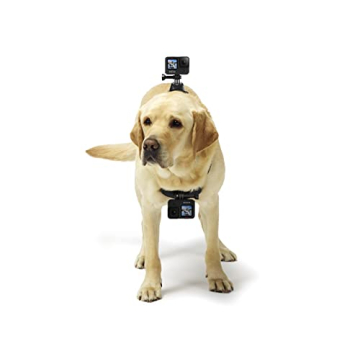 GoPro Fetch Dog Harness Adventure Camera Mount