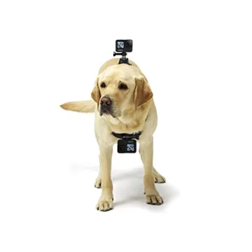 GoPro Fetch Dog Harness Adventure Camera Mount